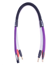 Load image into Gallery viewer, Cry Baby Racing - 2S Balance Charge Lead (24")